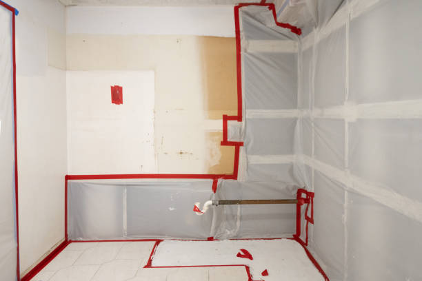  Middlebush, NJ Mold Removal Pros