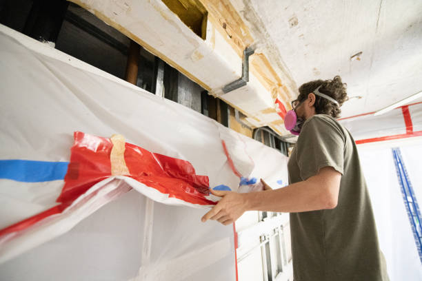 Best Post-Construction Mold Inspection  in Middlebush, NJ