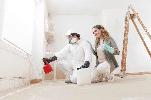 Best Mold Odor Removal Services  in Middlebush, NJ
